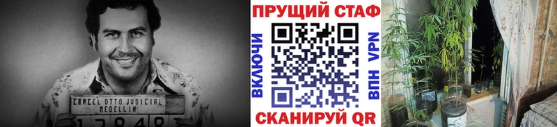 Наркошоп купить Амфетамин COCAIN А ПВП Меф мяу мяу Бошки Шишки Судогда