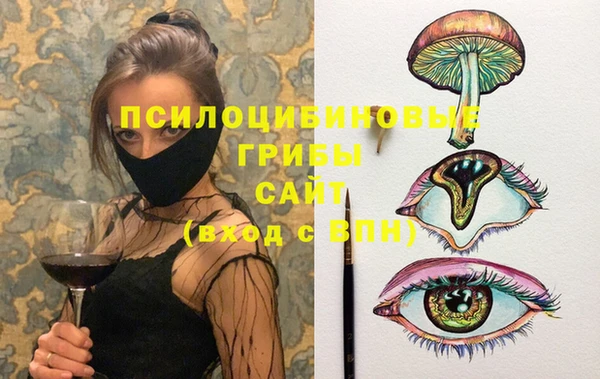 не бодяженный Надым