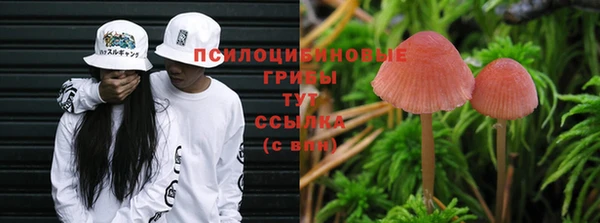 кристаллы Михайловка