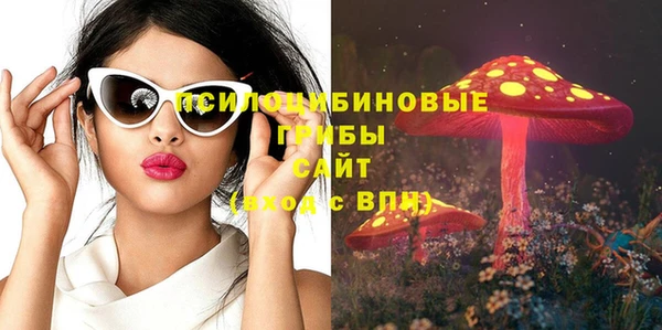шишки Навашино